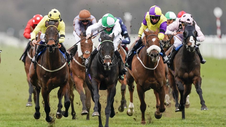 Emaraaty Ana (far left) could be heading for a major handicap win in 2021