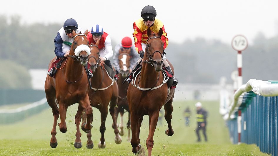 Sir Ron Priestley - enjoyed fine campaign