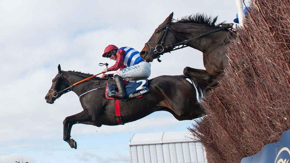 Three Card Brag on his way to victory at Cheltenham