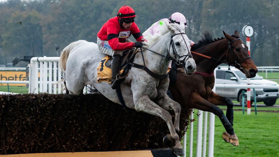 Grey Dawning and Royale Pagaille at the last