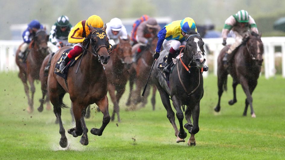 Campanelle and Dragon Symbol duel in the Commonwealth Cup