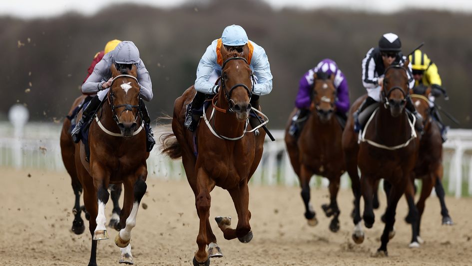 Dear My Friend gets the better of Flight Plan