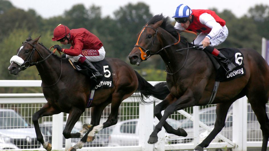 Positive (right) holds on from Kameko in a tight call for the Solario