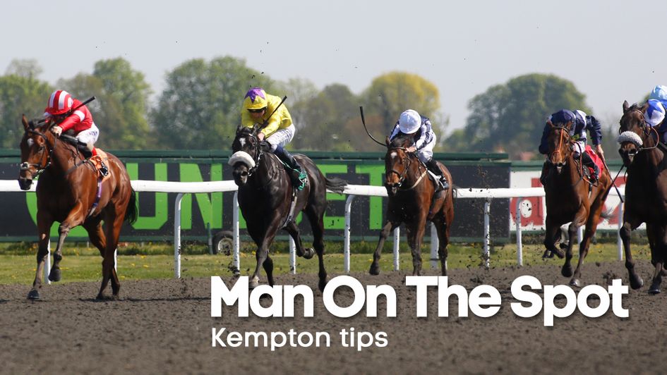 Verdicts for every race at Kempton