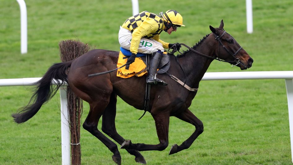 Al Boum Photo - fancied to defend Gold Cup crown