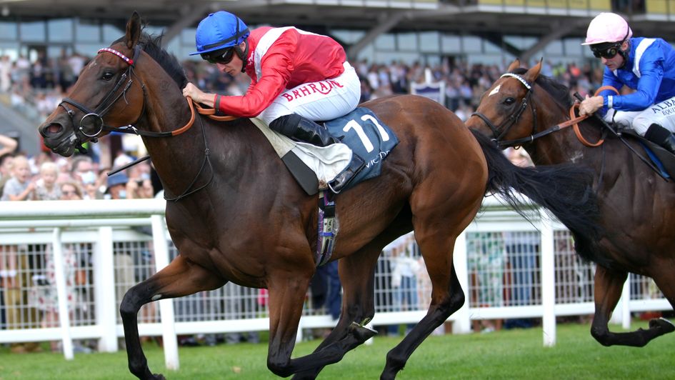 Sacred wins the Hungerford in good style