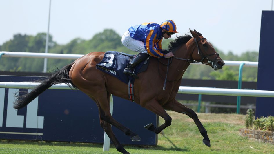 Cameo impresses at Lingfield