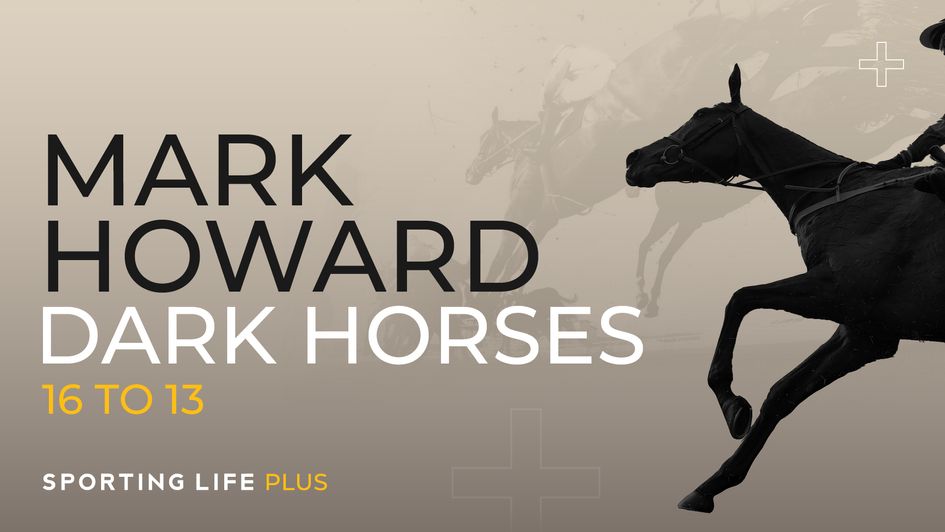 Nrs Approach Jumps Season horses to follow: Dark horses from Willie Mullins, Dan ...