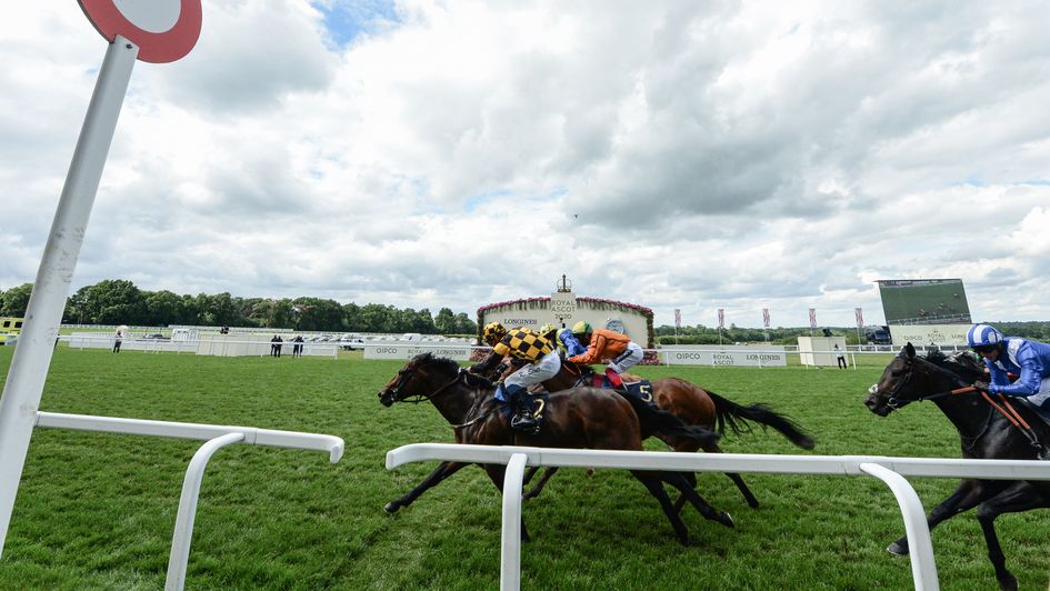 Hello Youmzain gamely wins the Diamond Jubilee