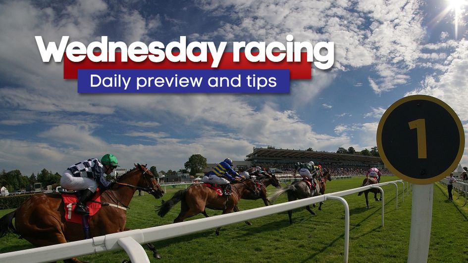 Check out the latest daily racing preview