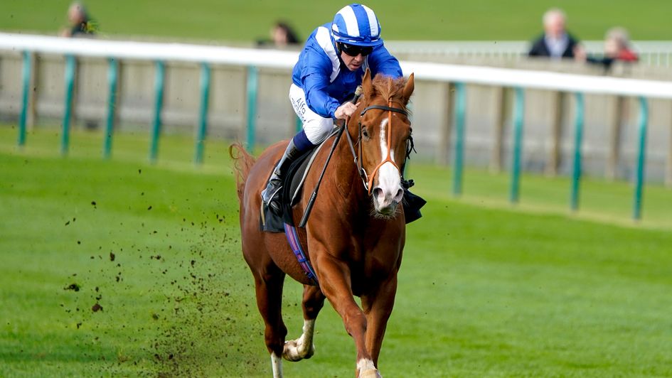 Ehraz wins at Newmarket