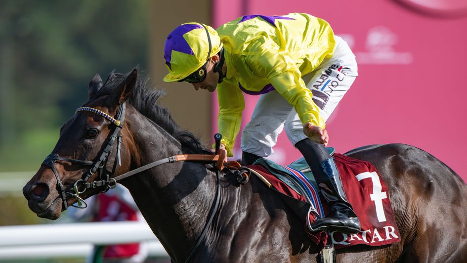 Sea Silk Road wins in ParisLongchamp