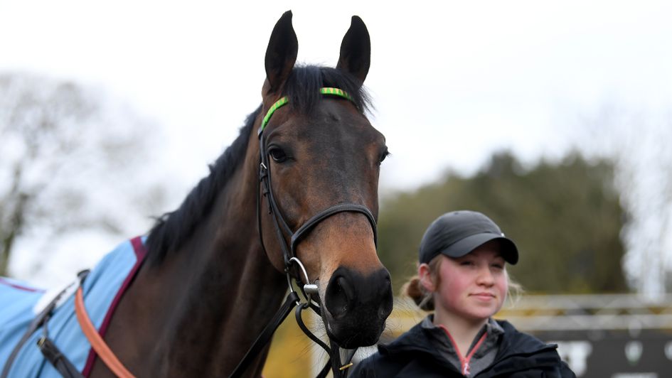 Epatante pictured at Nicky Henderson's Seven Barrows yard