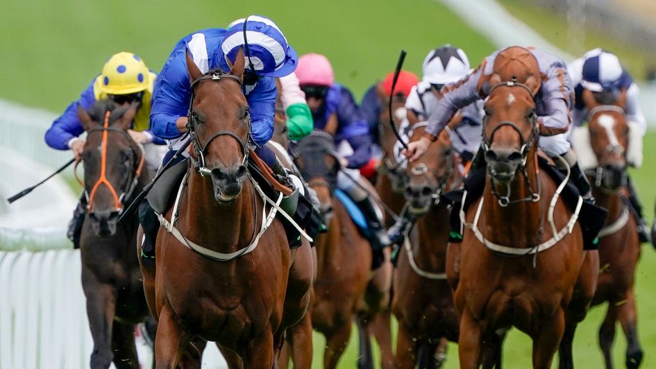 Maydanny beat Sky Defender (brown cap) in last year's opening race