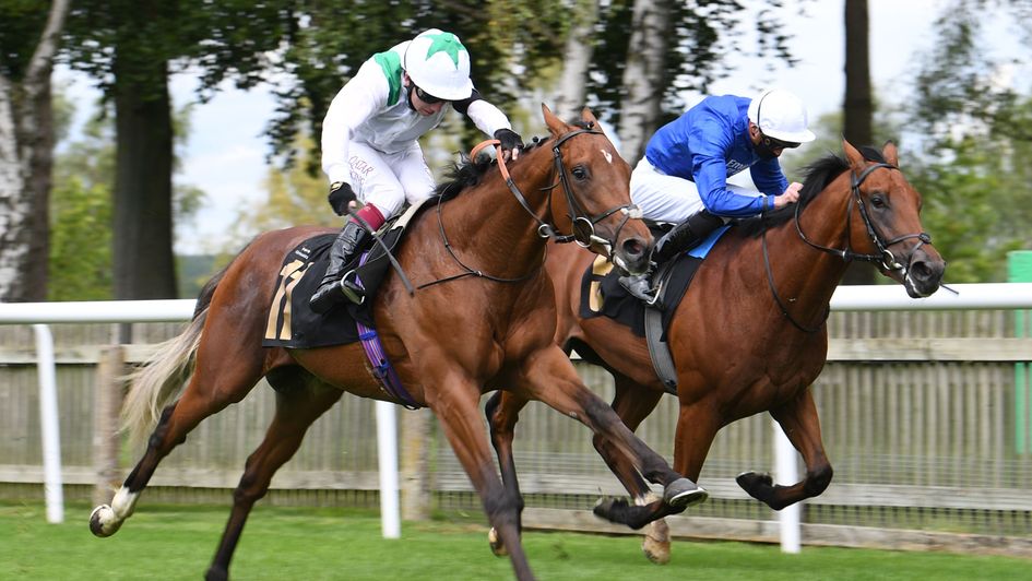 Youth Spirit is on top at Newmarket