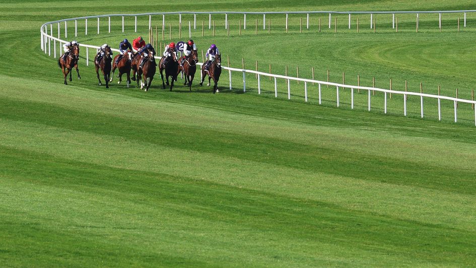 The action unfolds up the straight at Leopardstown