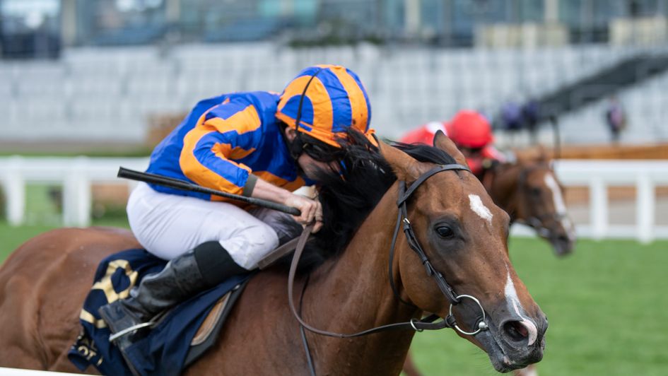 Santiago wins under Ryan Moore at Royal Ascot