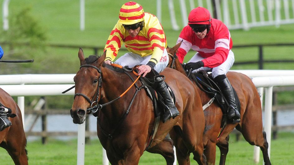 Sams Profile in action at Punchestown