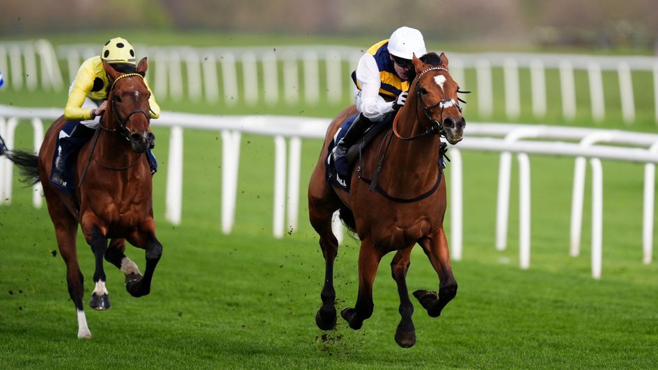 Docklands goes clear of Volterra