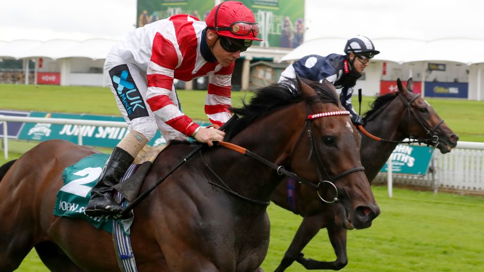 Sinjaari on top in the John Smith's Cup