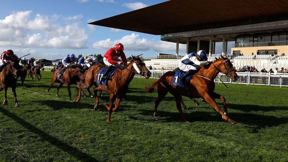 Chally Chute wins at the Curragh