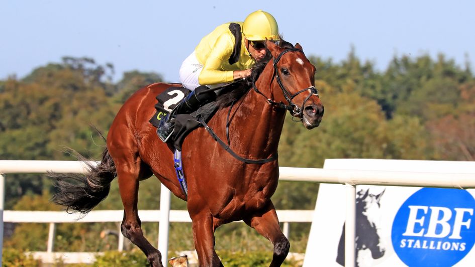 Jadoomi wins under Christophe Soumillon