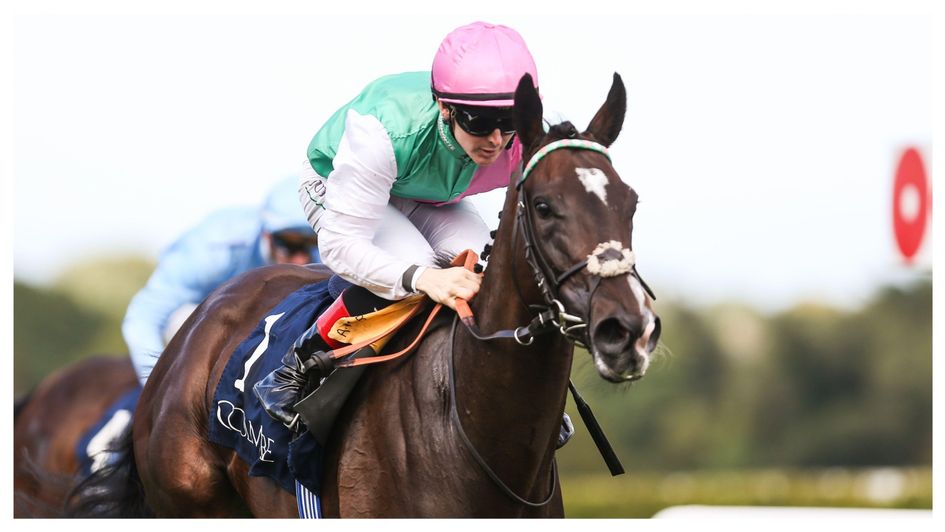 Blue Bolt bolts up in the Matron