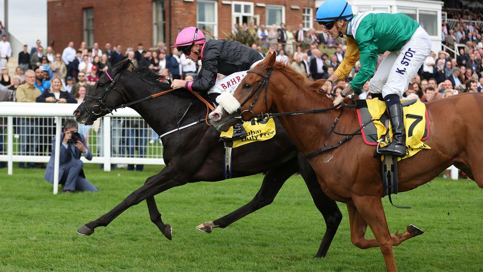 First Instinct could run a big race in the Abbaye