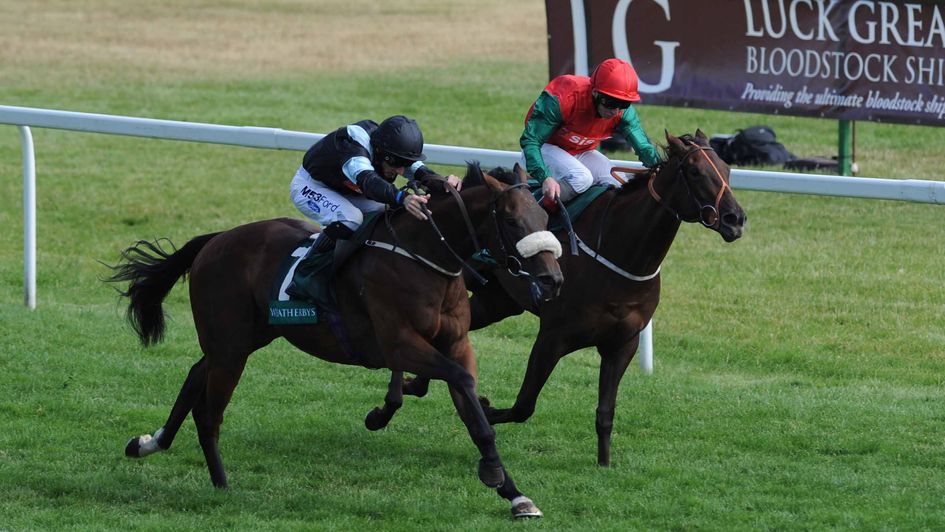 Peniaphobia is a first Super Sprint winner for the Musley Bank team