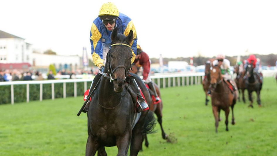 Litigant won the November Handicap