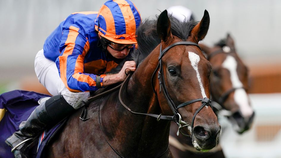 The regally bred Battleground