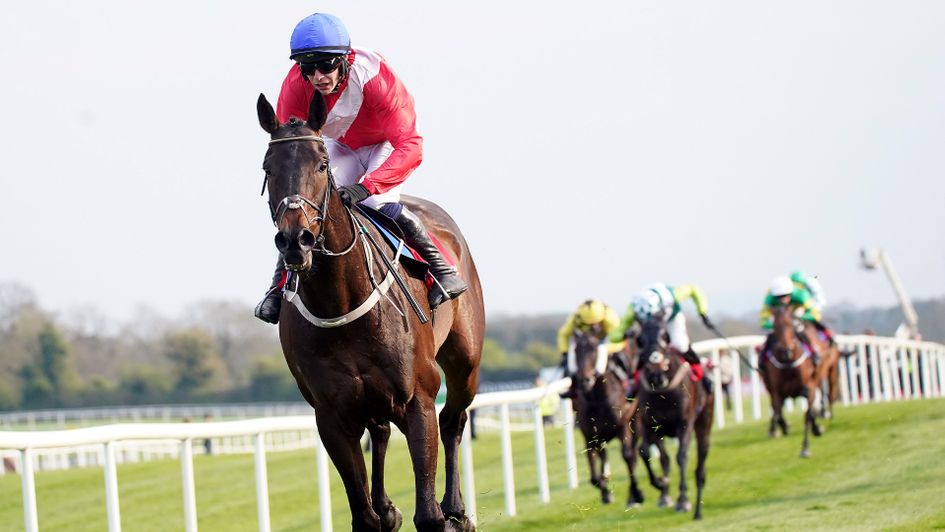 Allaho is clear of his rivals in the Punchestown Gold Cup