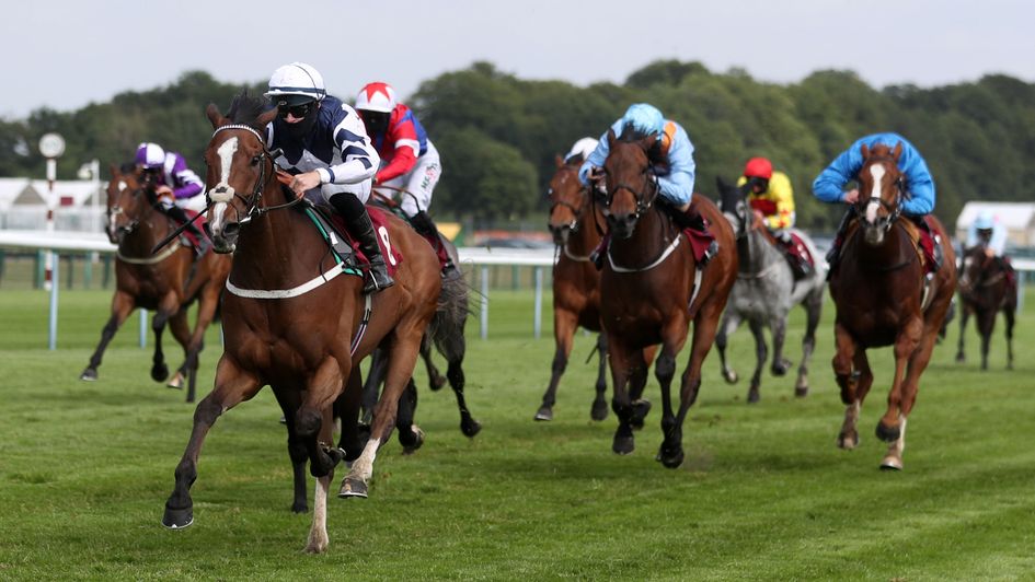 Shady McCoy is a fourth winner on the card for Richard Kingscote