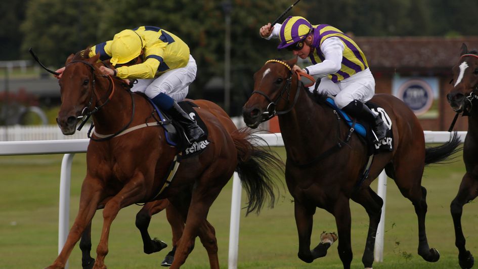 Justanotherbottle (left) in winning action at Sandown