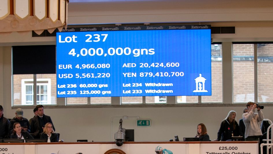 The bidding stops at 4m for the Frankel colt (Tattersalls)