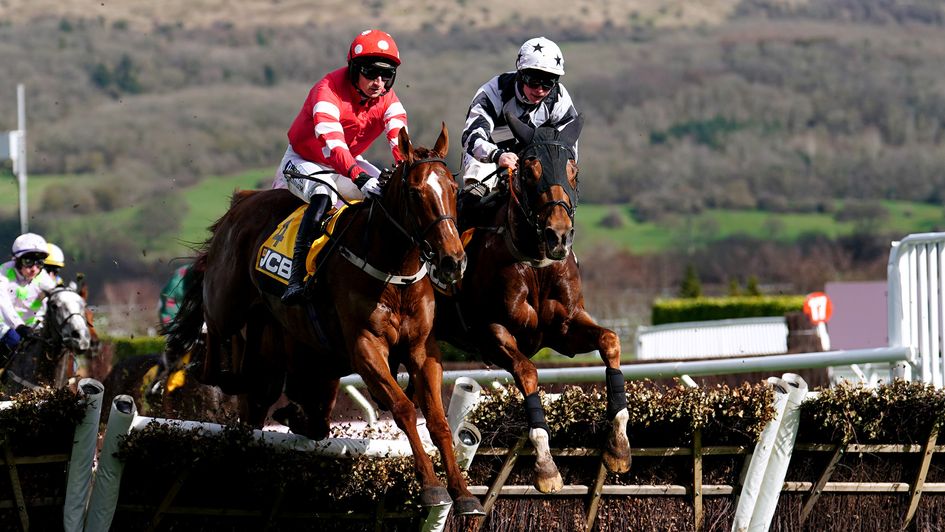 Bloody Destiny in action at the Cheltenham Festival