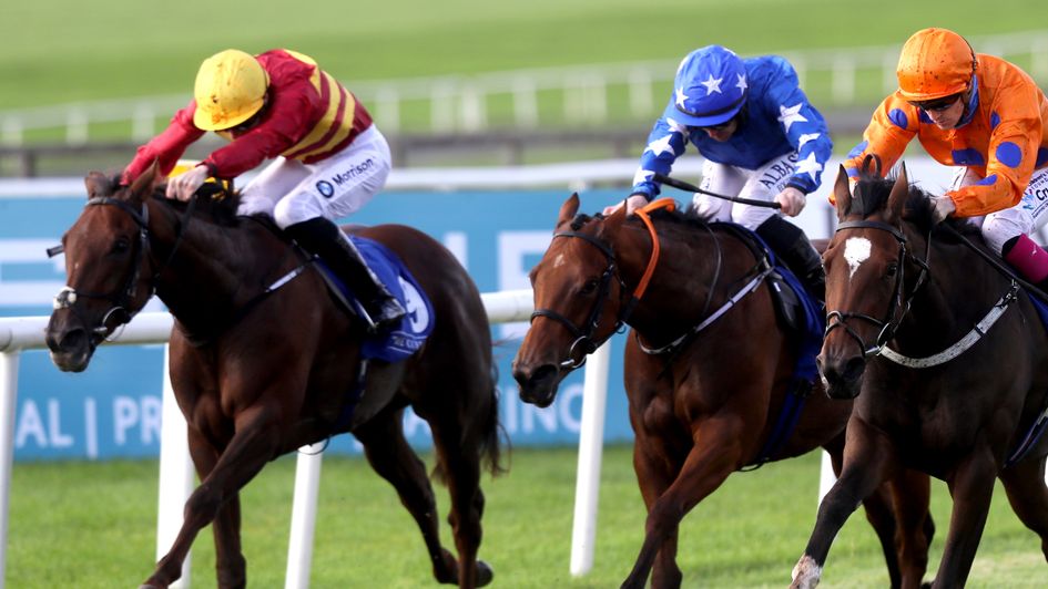 Tranquil Lady (left) in action at the Curragh
