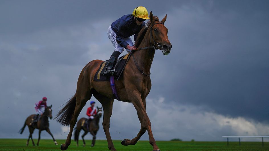 Infinite Cosmos - runs in Musidora