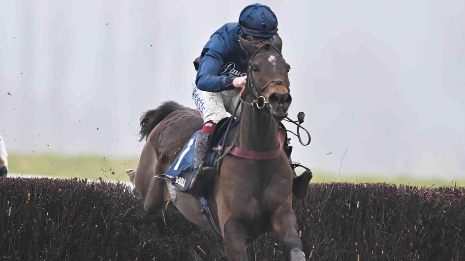 Djelo books his place at the Cheltenham Festival