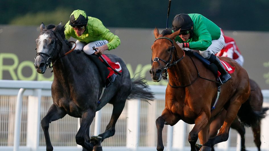 Eynhallow (r) leads Buzz