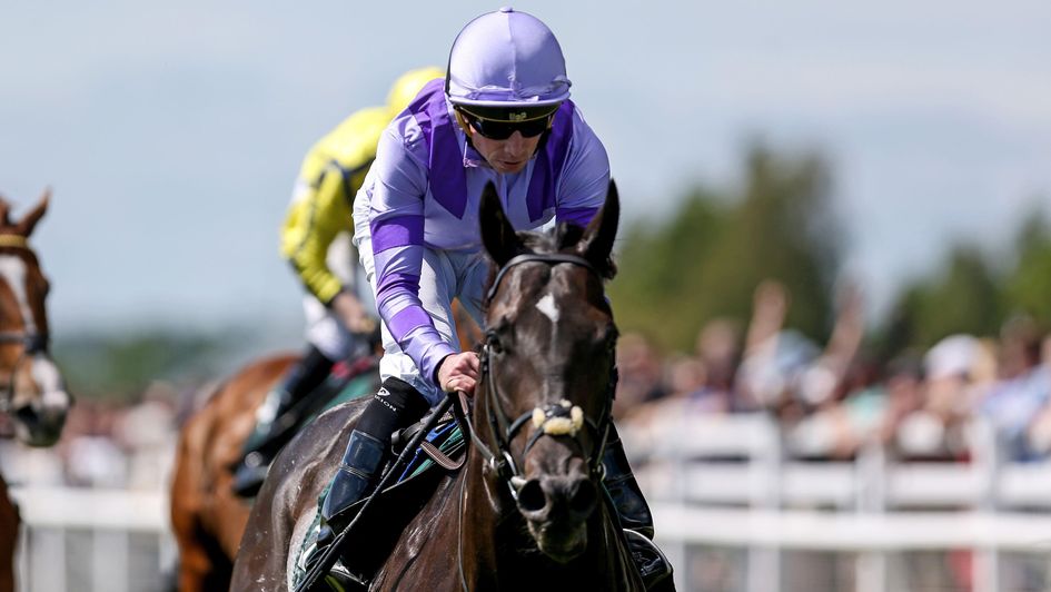 Comanche Brave wins the Greenlands
