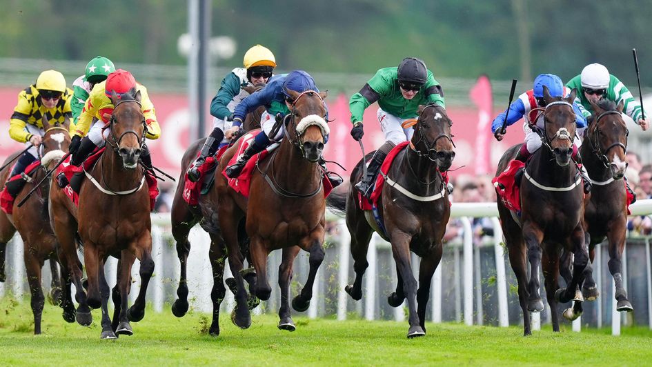 Knicks (noseband) wins at Chester