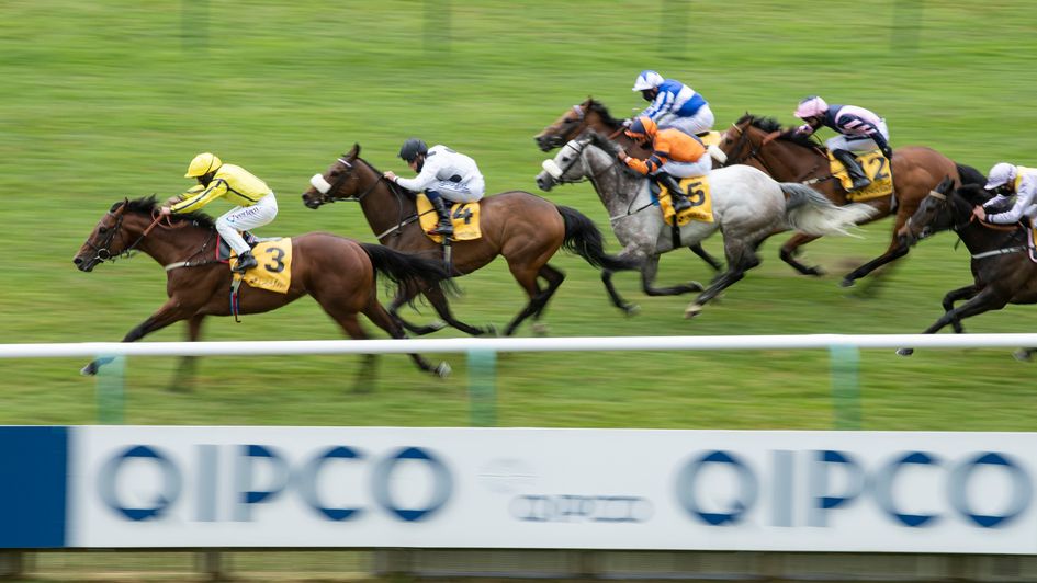 Far Above wins the Palace House