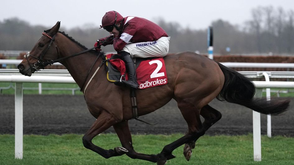 Master Chewy wins the Wayward Lad