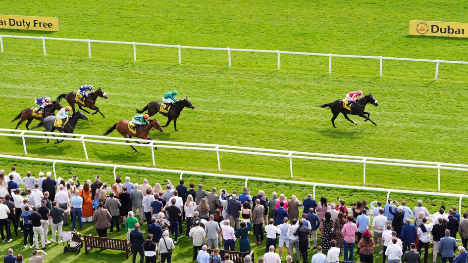 Duty First scoots clear at Newbury