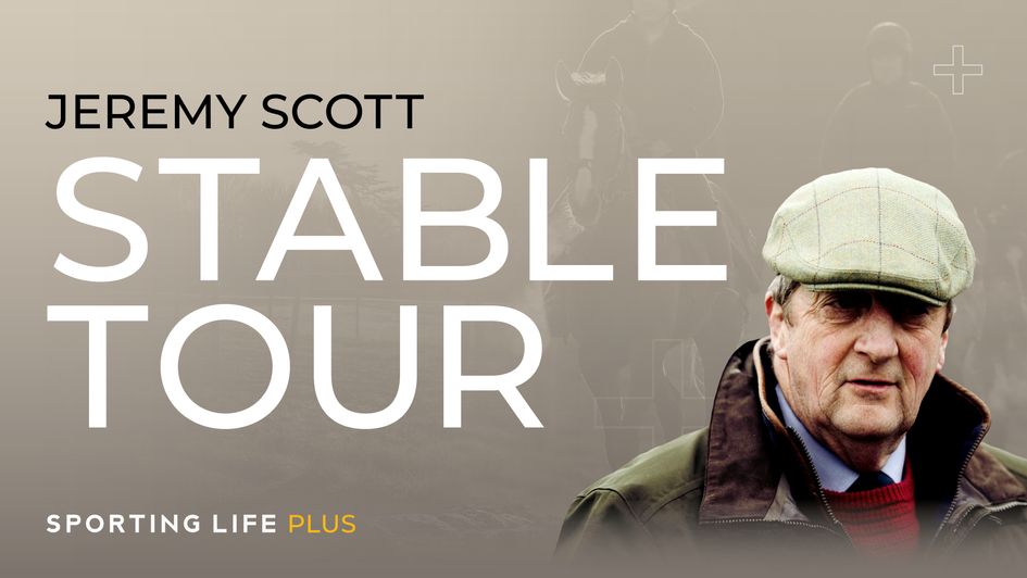 Latest Cheltenham Festival Stable Tour