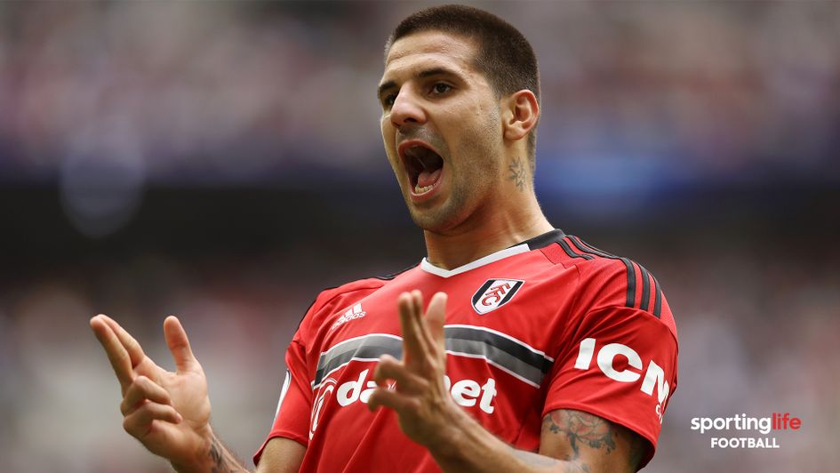 Aleksandar Mitrovic celebrates his goal against Tottenham