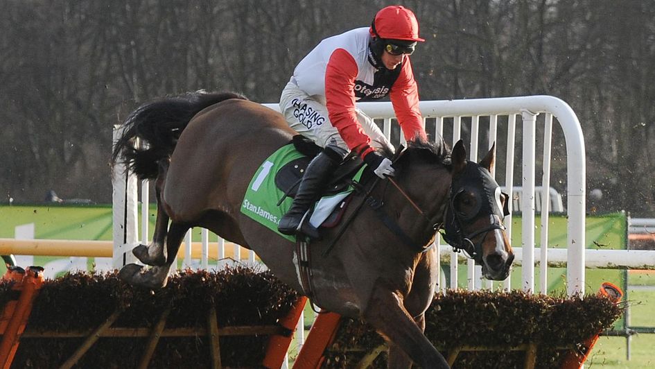 Winning the Haydock Champion Hurdle Trial on Celestial Halo