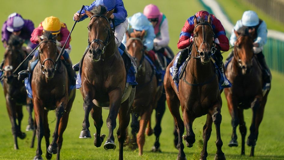 Dubawi Legend chases home Native Trail in the Dewhurst