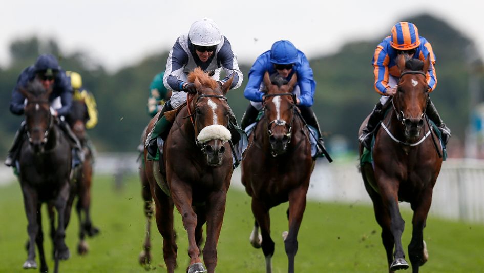 Ulysses, Churchill and Barney Roy could all meet again at Ascot